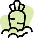 Organic food