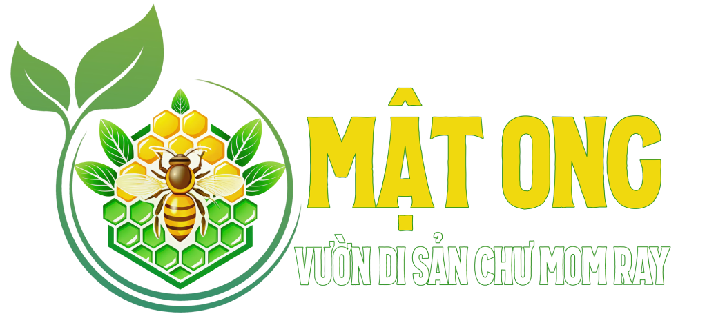 MẬT ONG VƯỜN DI SẢN CHƯ MOM RAY